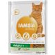 IAMS Cat Adult Bárány 800g